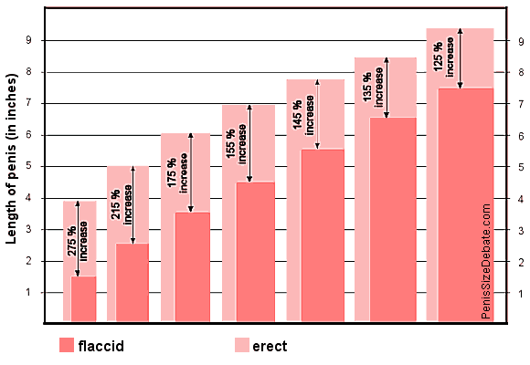 Average Soft Penis 99